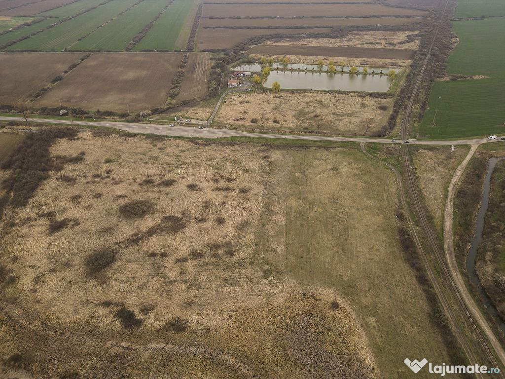 Teren extravilan in Ineu