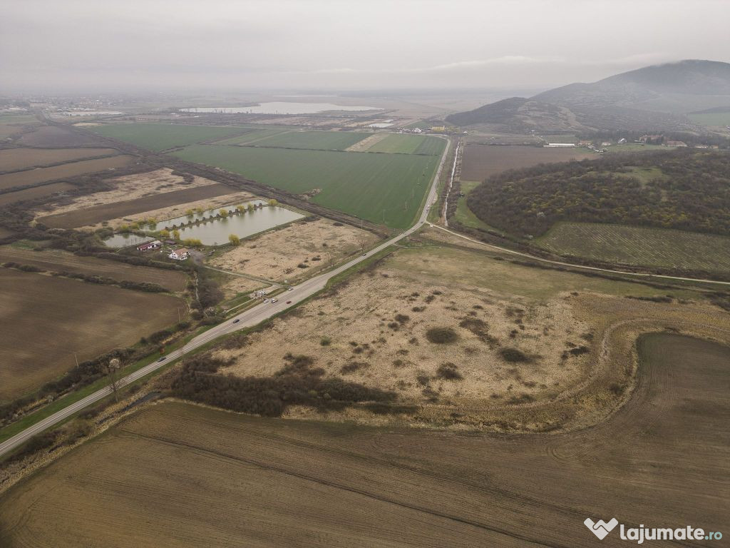 Teren extravilan in Ineu