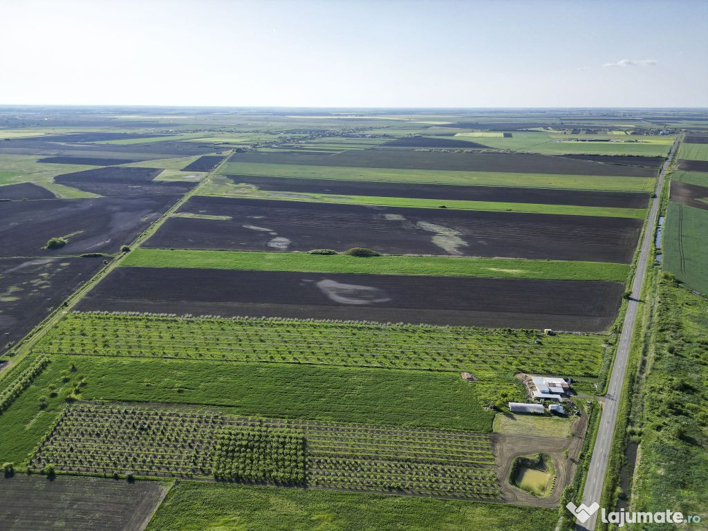 Livadă de nuci și pruni 2.4ha în Variașu Mare 