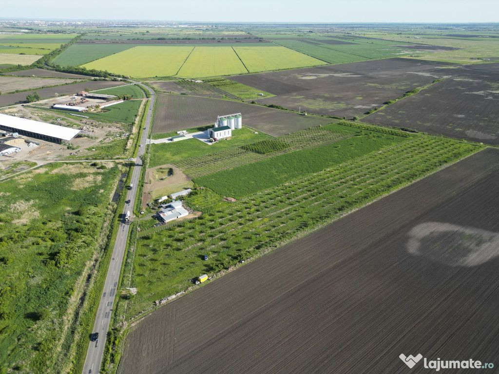 Livadă de nuci și pruni 2.4ha în Variașu Mare 