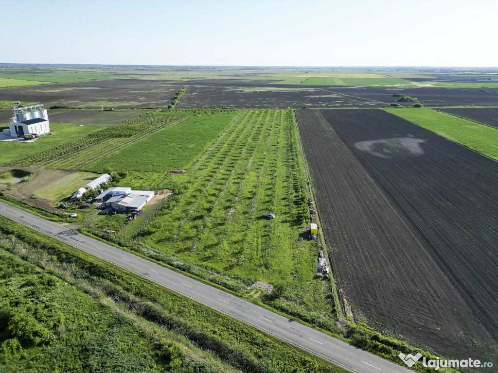 Livadă de nuci și pruni 2.4ha în Variașu Mare 