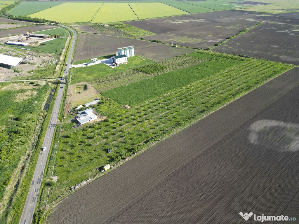 Livadă de nuci și pruni 2.4ha în Variașu Mare 