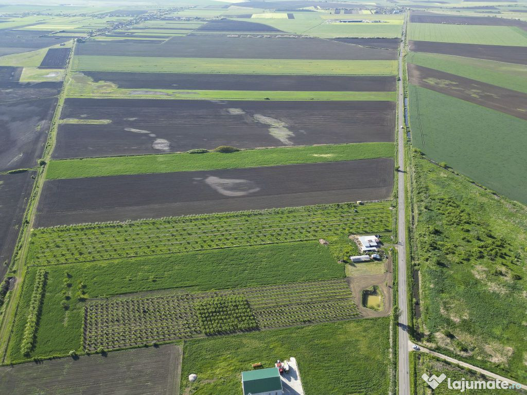 Livadă de nuci și pruni 2.4ha în Variașu Mare 