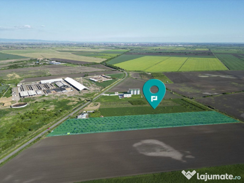 Livadă de nuci și pruni 2.4ha în Variașu Mare 