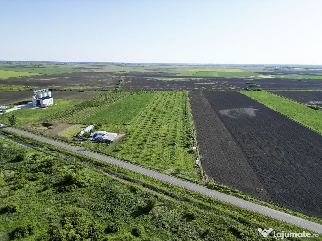 Livadă de nuci și pruni 2.4ha în Variașu Mare 