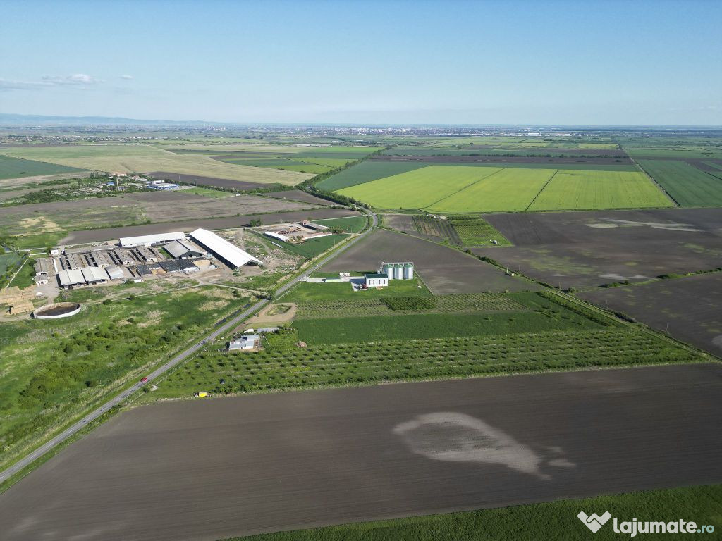 Livadă de nuci și pruni 2.4ha în Variașu Mare 