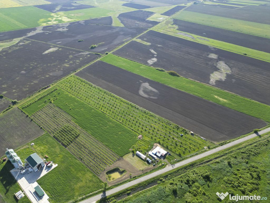 Livadă de nuci și pruni 2.4ha în Variașu Mare 