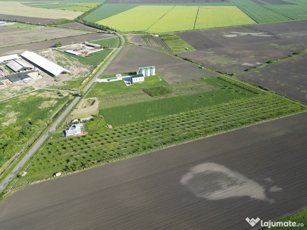 Livadă de nuci și pruni 2.4ha în Variașu Mare 