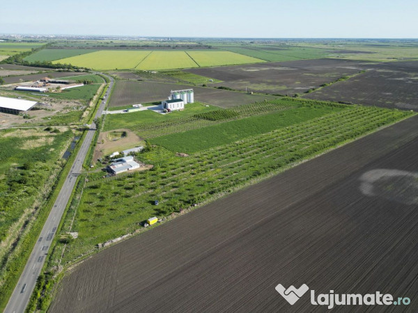 Livadă de nuci și pruni 2.4ha în Variașu Mare 