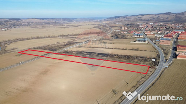 Teren extravilan 10000 mp langa Medias - oportunitate de ... 