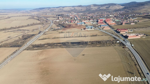Teren extravilan 10000 mp langa Medias - oportunitate de ... 