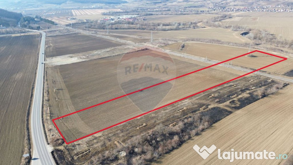 Teren extravilan 10000 mp langa Medias - oportunitate de ... 