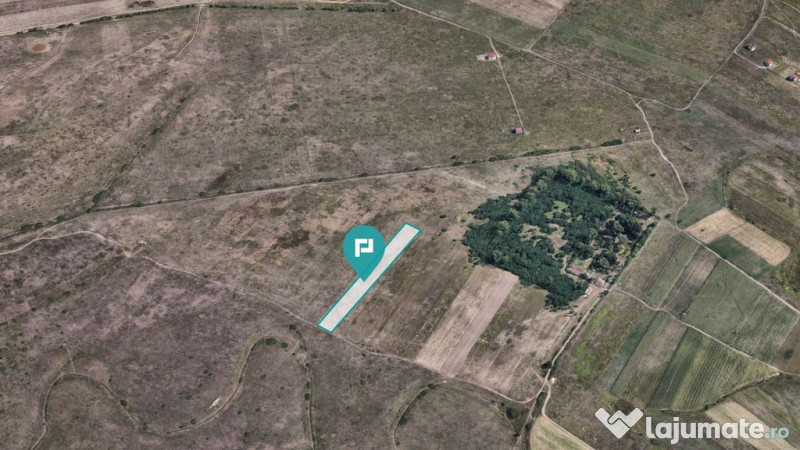 Teren extravilan de 10.000 mp