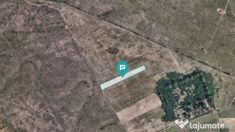 Teren extravilan de 10.000 mp