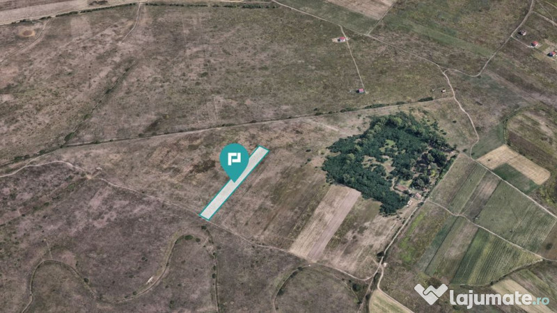 Teren extravilan de 10.000 mp
