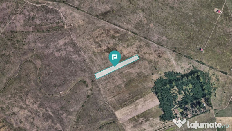 Teren extravilan de 10.000 mp