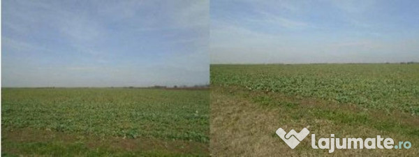 Teren cota parte 3/48 Tudor Vladimirescu R2548611