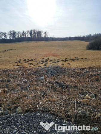 Teren pentru contructie Reghin / Strada Pometului 