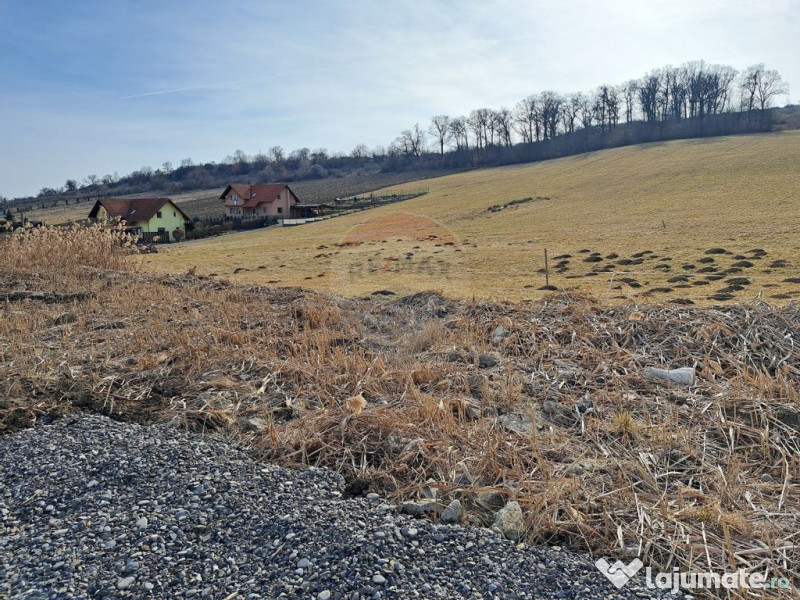 Teren pentru contructie Reghin / Strada Pometului 
