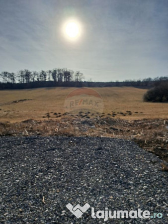 Teren pentru contructie Reghin / Strada Pometului 