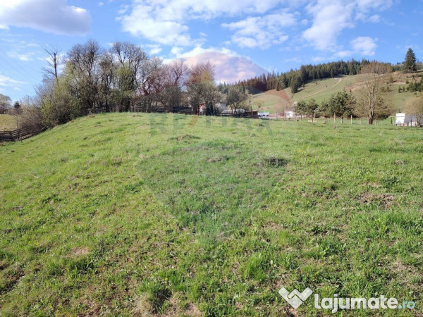 Teren 2,421mp Vatra Dornei / Strada Chilia