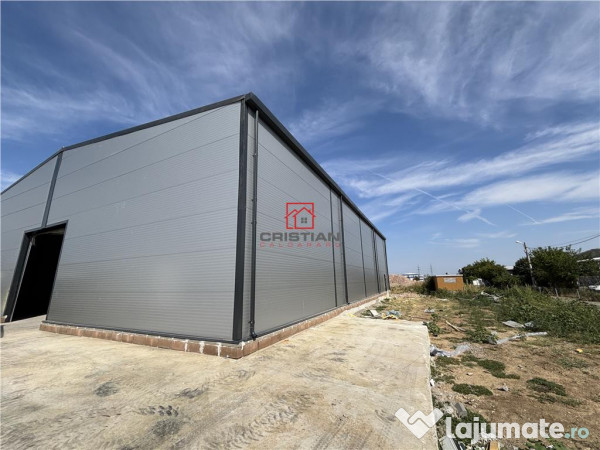 Depozit/hala/spatiu industrial Theodor Pallady - Gara Catel