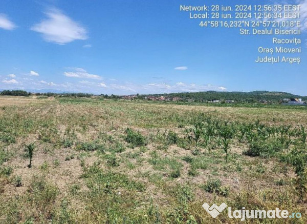 Cota de 1/3 din teren situat in Mioveni, Jud Arges 24.11 