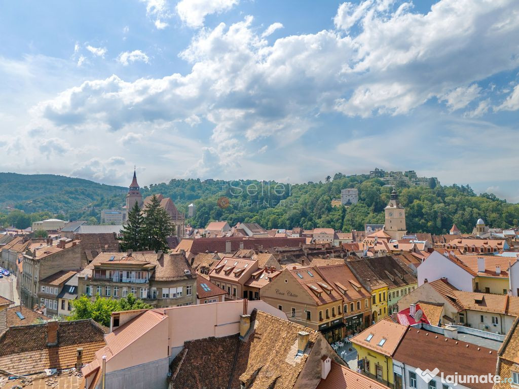 Zona Centrala Structura Generoasa 