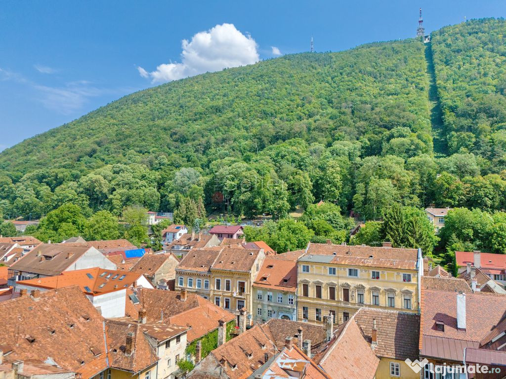 Zona Centrala Structura Generoasa 