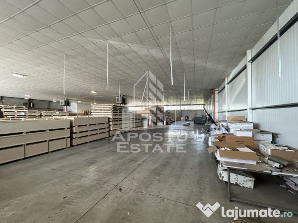 Hala 1400 mp, C. Lugojului, ideala depozitare, acces TIR. 