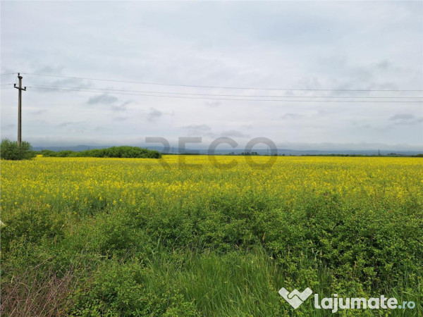 Reco, teren intravila la E60 sacadat 