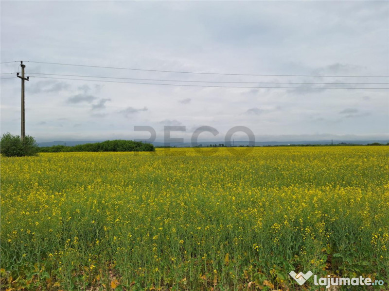 Reco, teren intravila la E60 sacadat 