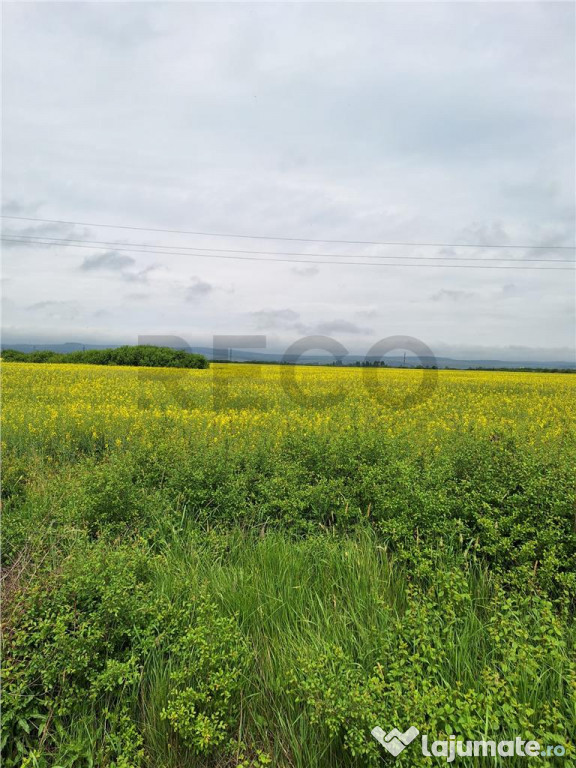 Reco, teren intravila la E60 sacadat 