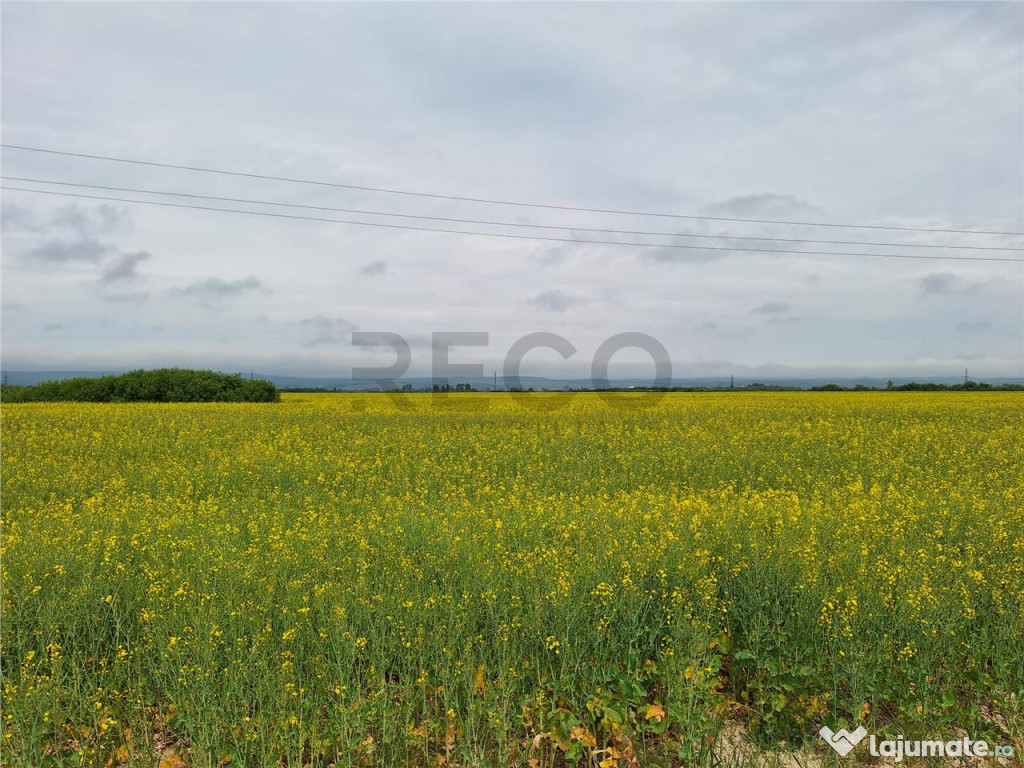 Reco, teren intravila la E60 sacadat 