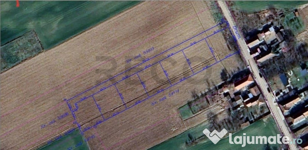 RECO parcele teren Sannicolaul Roman 