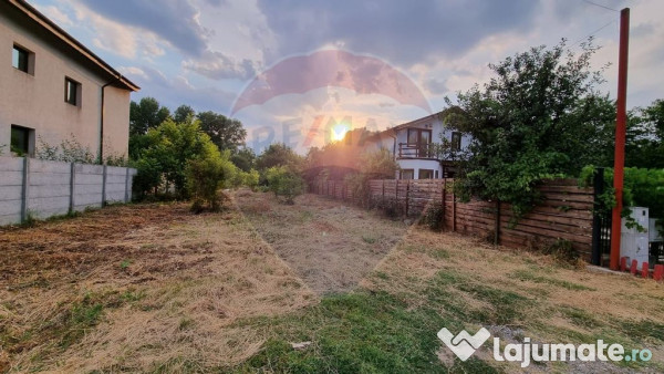 Teren 1,000mp Ciorogarla / None