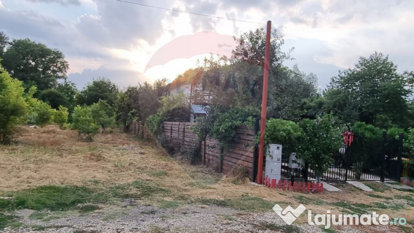 Teren 1,000mp Ciorogarla / None