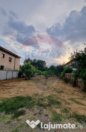 Teren 1,000mp Ciorogarla / None