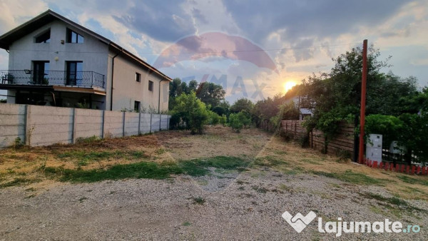 Teren 1,000mp Ciorogarla / None