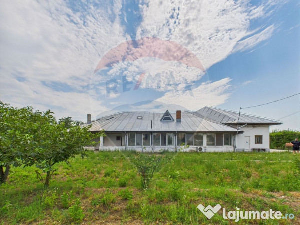 Proprietate speciala Dragomiresti Deal -Teren 15000 mp 