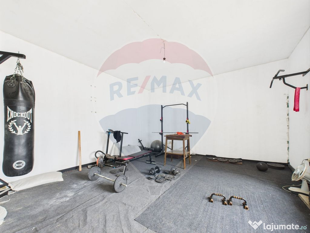 Proprietate speciala Dragomiresti Deal -Teren 15000 mp 