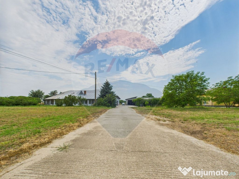 Proprietate speciala Dragomiresti Deal -Teren 15000 mp 
