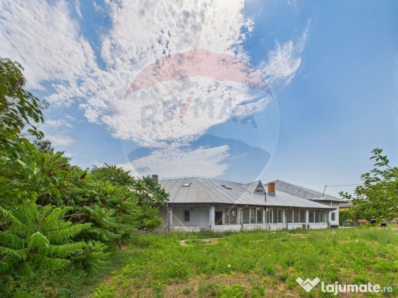 Proprietate speciala Dragomiresti Deal -Teren 15000 mp 