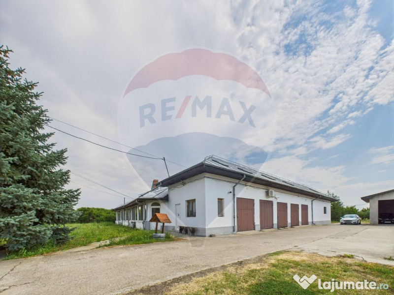 Proprietate speciala Dragomiresti Deal -Teren 15000 mp 