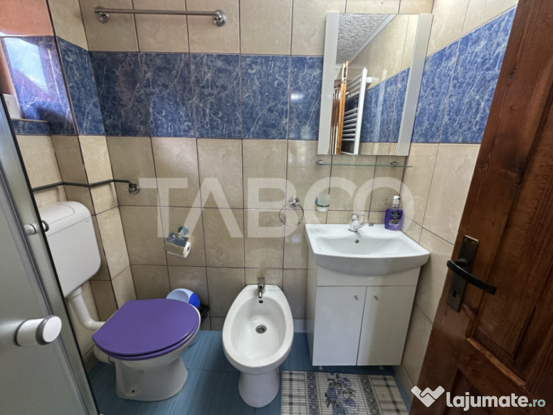 Cabana spatioasa la 5 km de Partia Sureanu complet utilata