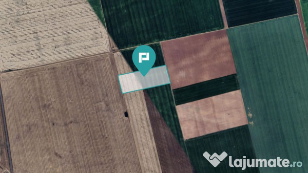 Teren arabil de 4,4Ha în Șimand 