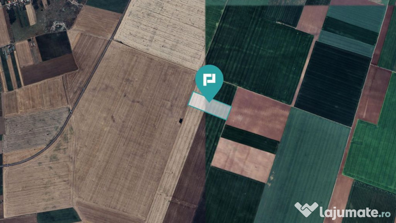 Teren arabil de 4,4Ha în Șimand 