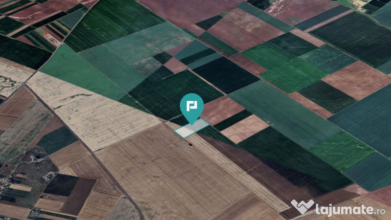 Teren arabil de 4,4Ha în Șimand 