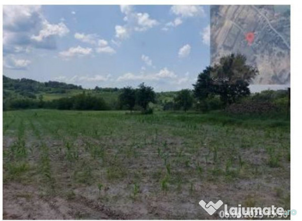 Teren extravilan, loc. Bustuchin, Jud Gorj 