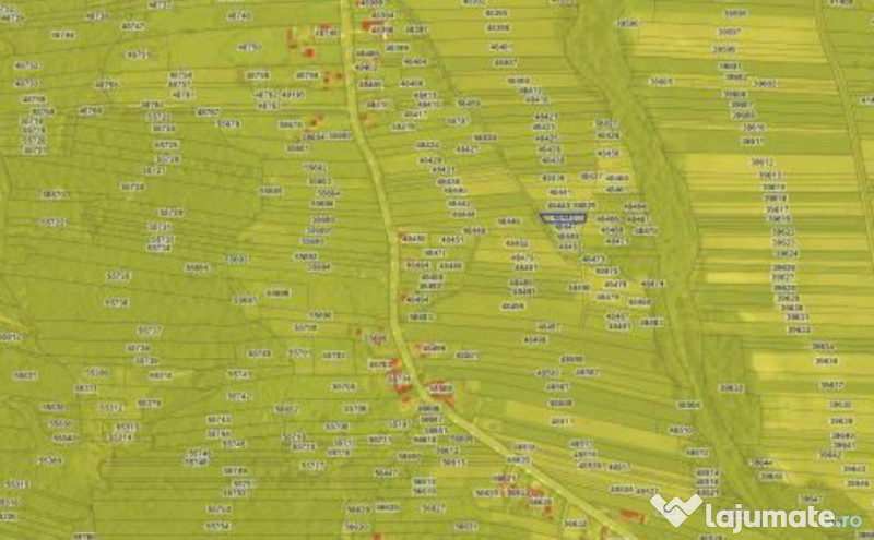 Teren extravilan, loc. Bustuchin, Jud Gorj 